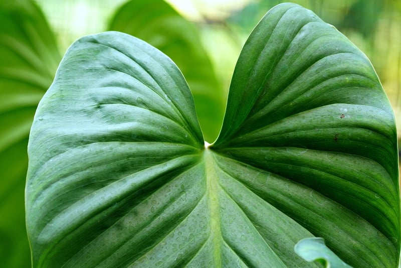 Eco-friendly products